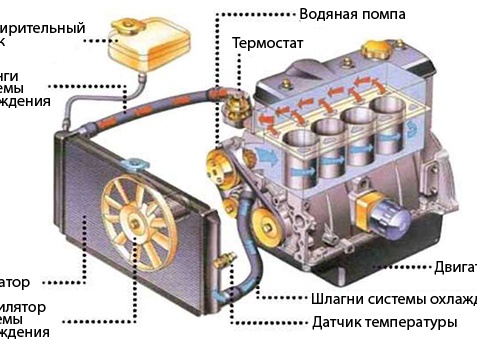 Устройство автомобиля (Система охлаждения)